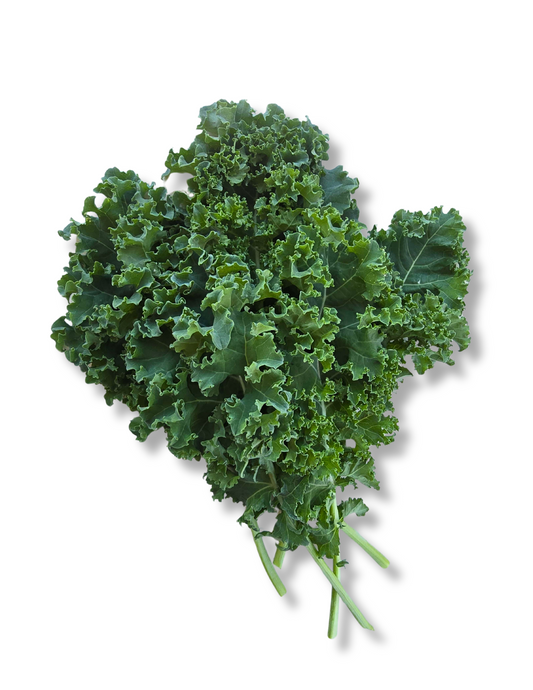 Darkibore Kale